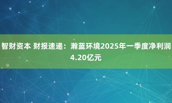 智财资本 财报速递：瀚蓝环境2025年一季度净利润4.20亿元