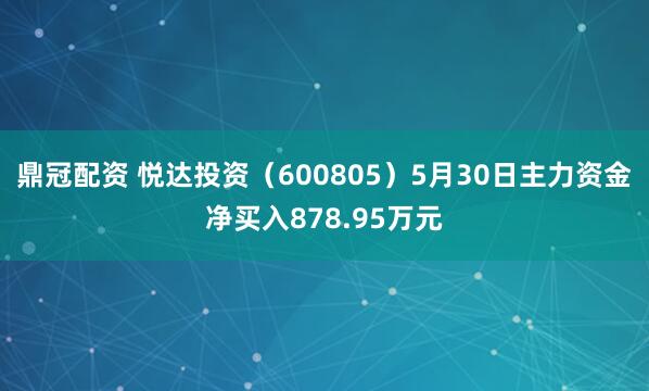 鼎冠配资 悦达投资（600805）5月30日主力资金净买入878.95万元