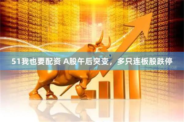 51我也要配资 A股午后突变，多只连板股跌停