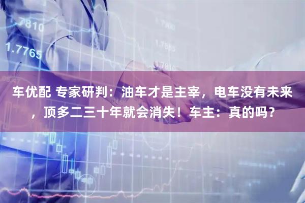 车优配 专家研判:油车才是主宰,电车没有未来,顶多二三十年就会消失!车主:真的吗?