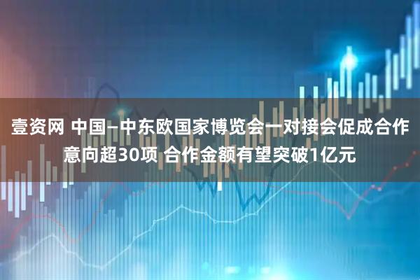 壹资网 中国—中东欧国家博览会一对接会促成合作意向超30项 合作金额有望突破1亿元