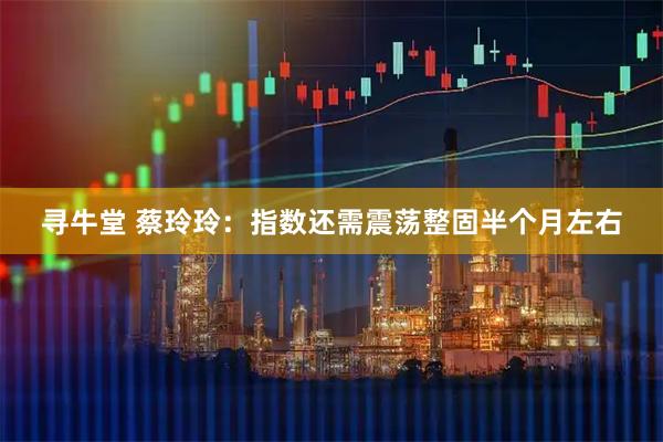 寻牛堂 蔡玲玲:指数还需震荡整固半个月左右