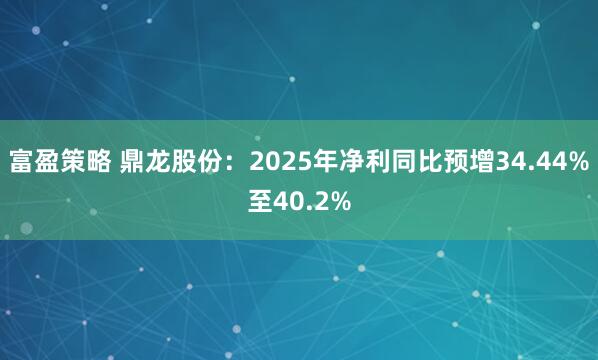 富盈策略 鼎龙股份：2025年净利同比预增34.44%至40.2%