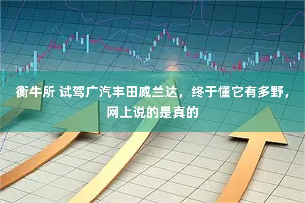 衡牛所 试驾广汽丰田威兰达，终于懂它有多野，网上说的是真的