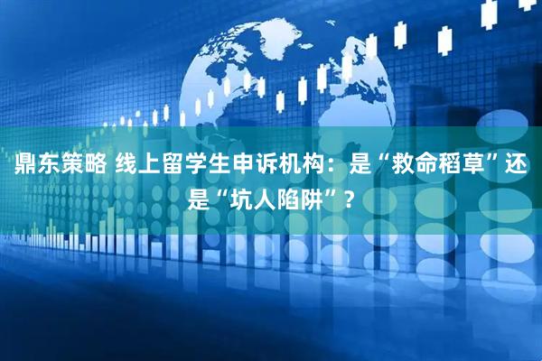 鼎东策略 线上留学生申诉机构：是“救命稻草”还是“坑人陷阱”？